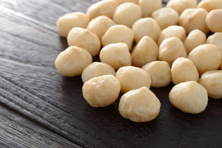 macadamia nuts are harmful to dogs