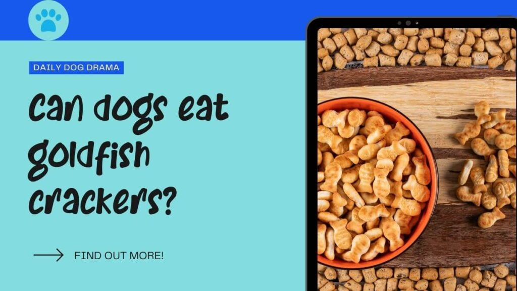 Can dogs eat goldfish crackers featured image