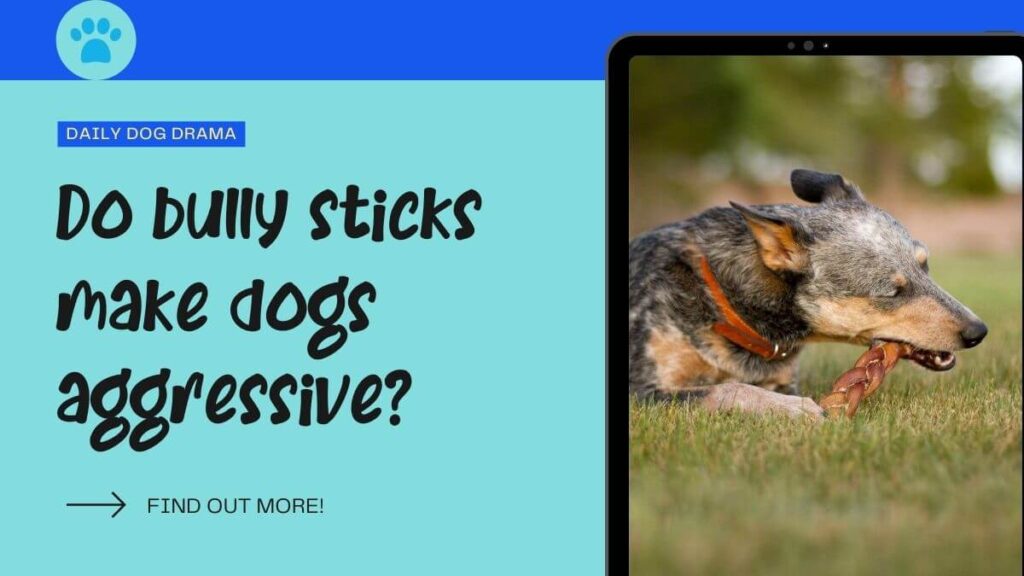 Do bully sticks make dogs aggressive featured image