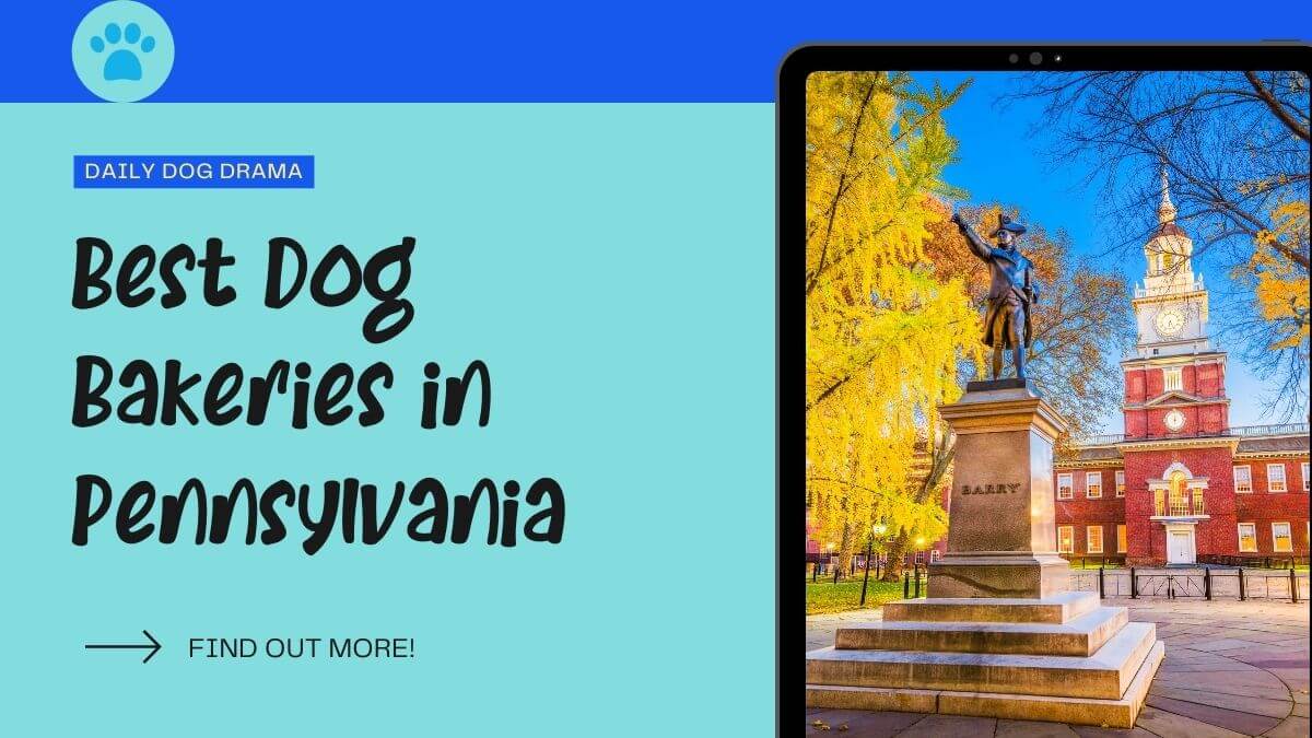 Best Dog Bakeries in Pennsylvania featured image