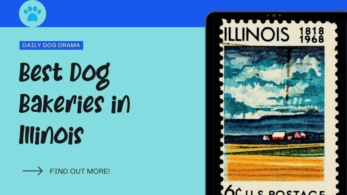best dog bakeries in illinois united states featured image