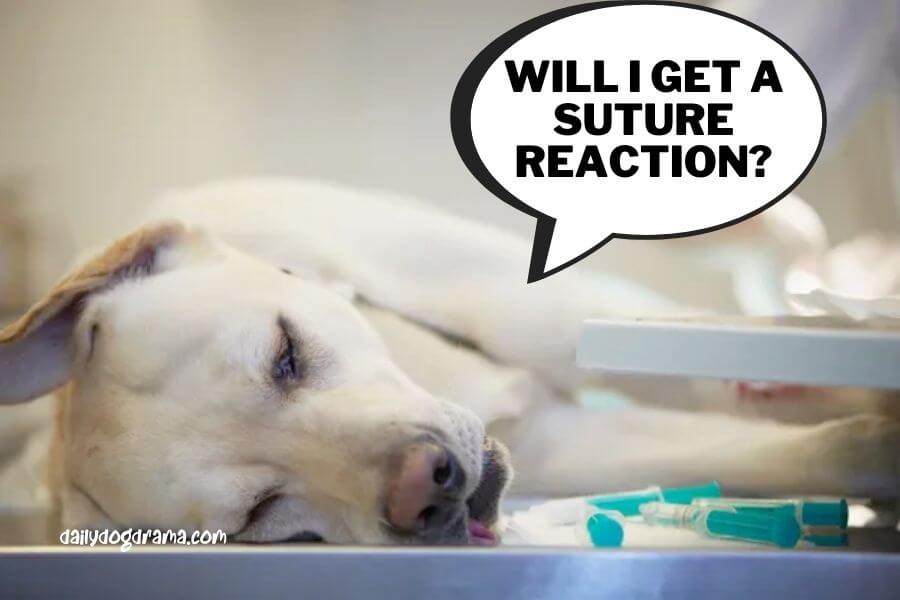 What is a Suture Reaction?