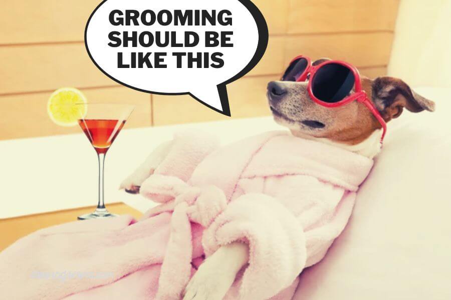 How can I soothe my dog's irritated skin after grooming?