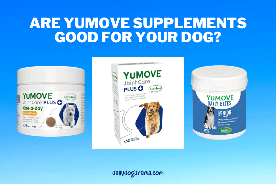 Are Yumove supplements good for your dog?