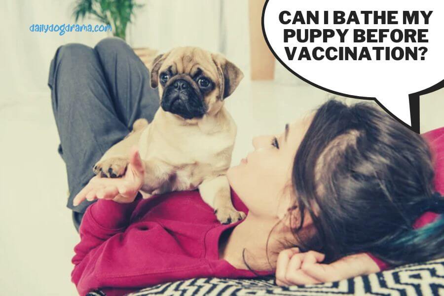 can i bathe my puppy before vaccination