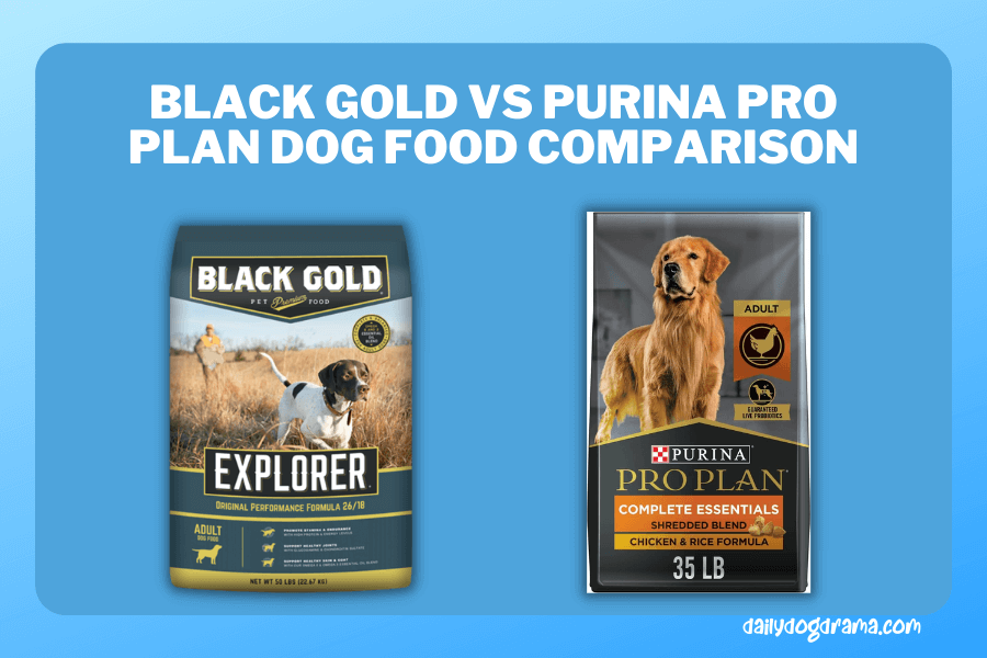 black gold vs purina pro plan dog food comparison 1