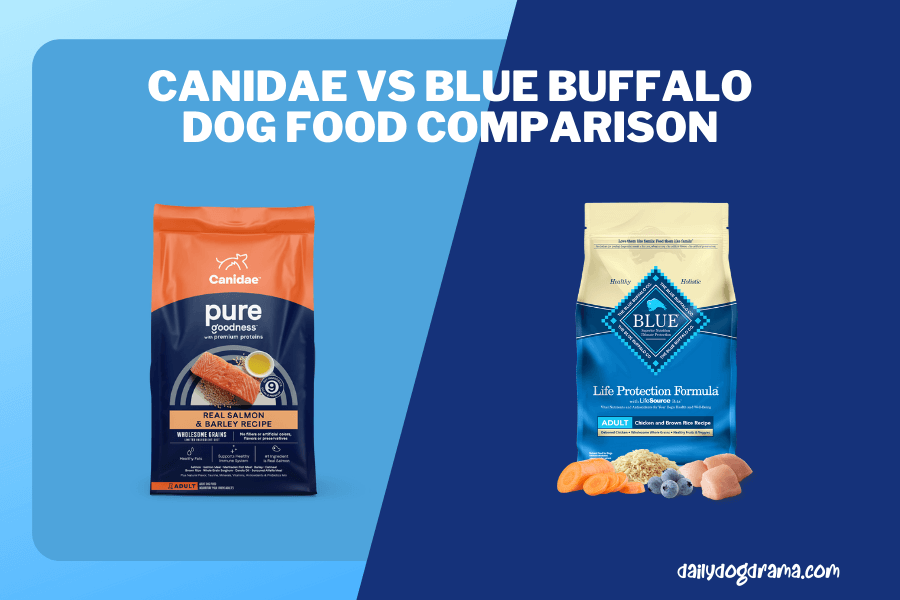 blue buffalo vs canidae dog food comparison