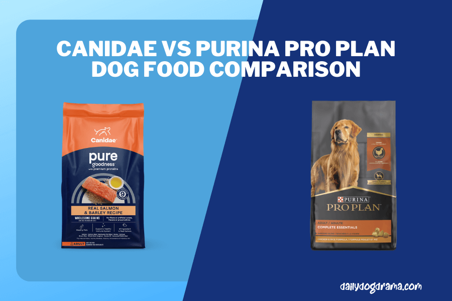 purina pro plan vs canidae dog food comparison