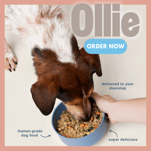 order ollie dog food sidebar banner