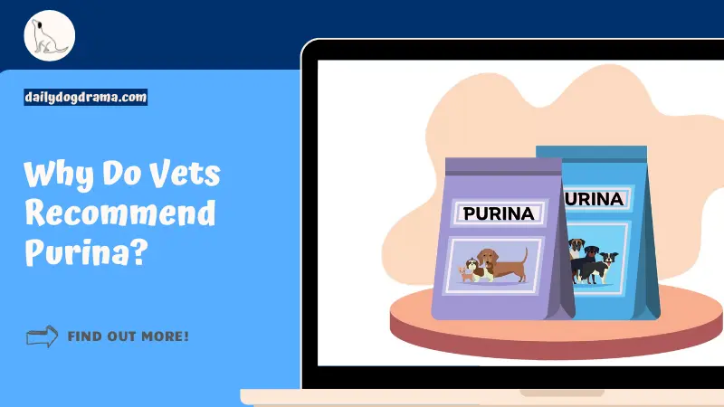 Why Do Vets Recommend Purina featured image