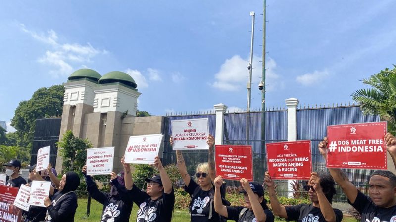 Animal lovers rally outside Indonesia’s parliament in Jakarta calling for a national dog and cat meat trade ban