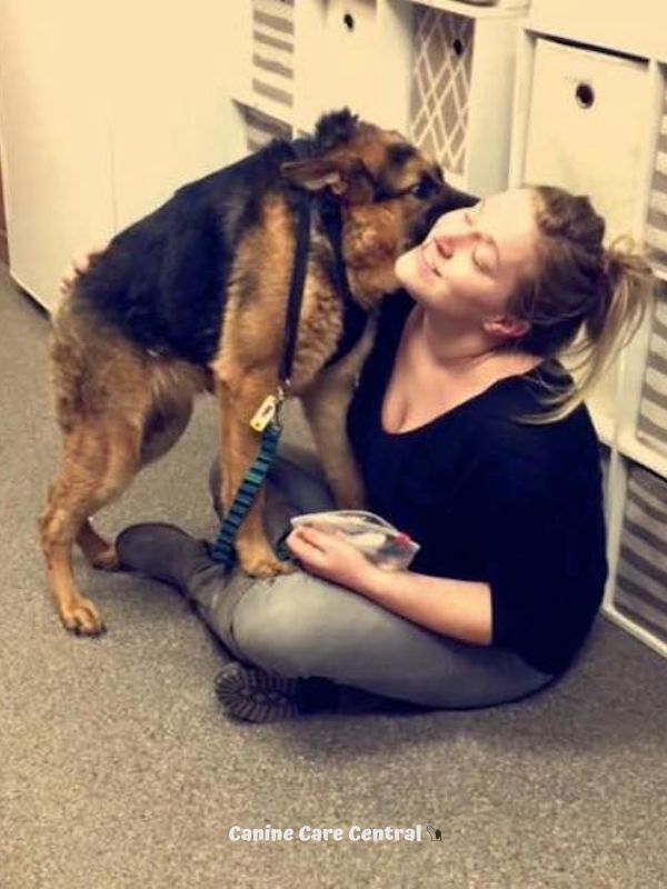 Dog With Short Spine Who Was Found As A Stray Has Nothing But Love In ...