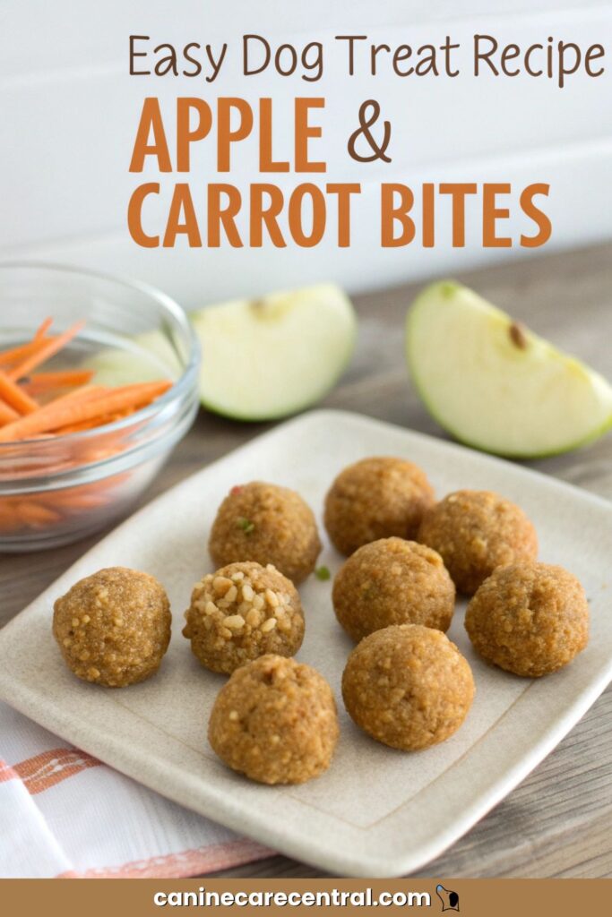 easy dog treat recipes pin 5