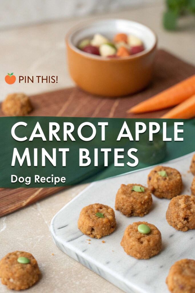 Carrot Apple Mint Bites homemade dog treat recipe pin 2