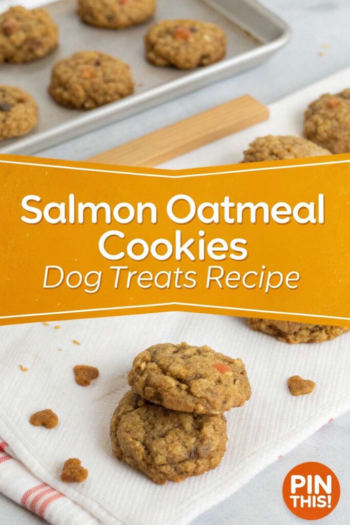 Salmon Oatmeal Cookies dog treat recipe pin 2