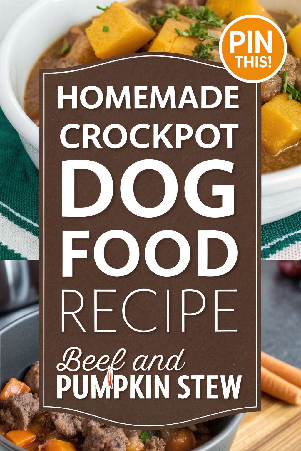 Homemade Crockpot Dog Food Recipe Beef and Pumpkin Stew - Canine Care ...