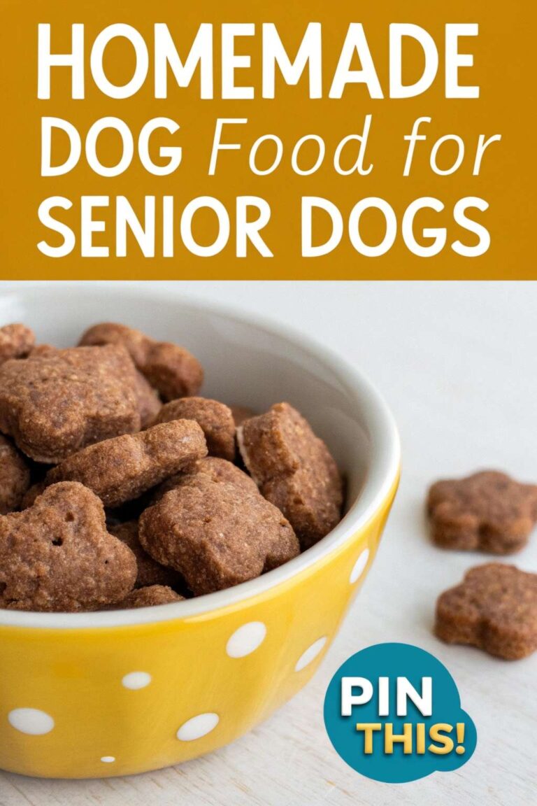 Image showcasing Homemade Dog Food for Senior Dogs: Nourishing Golden Years - Canine ...
