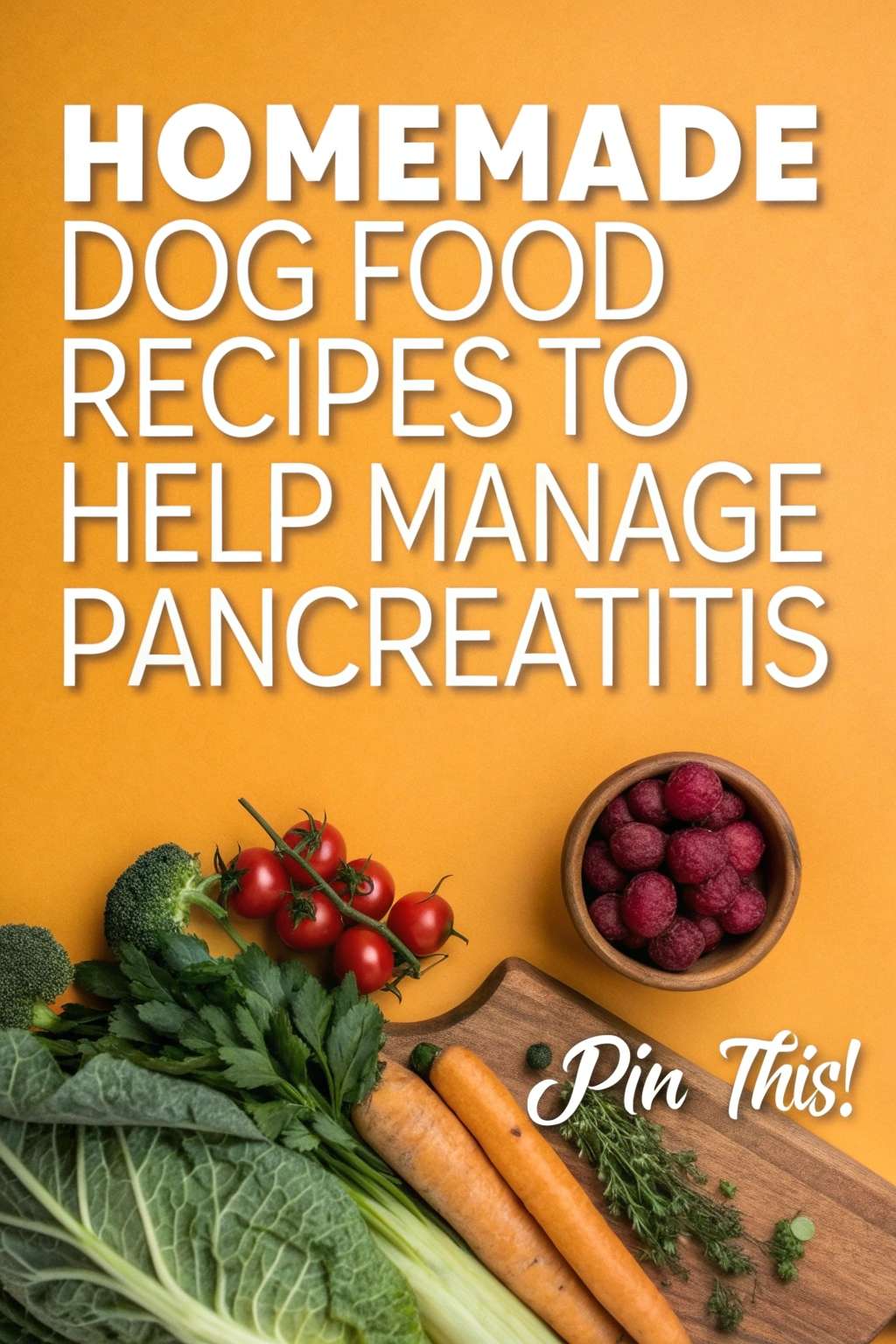 Delicious Homemade Dog Food Recipes to Help Manage Pancreatitis ...