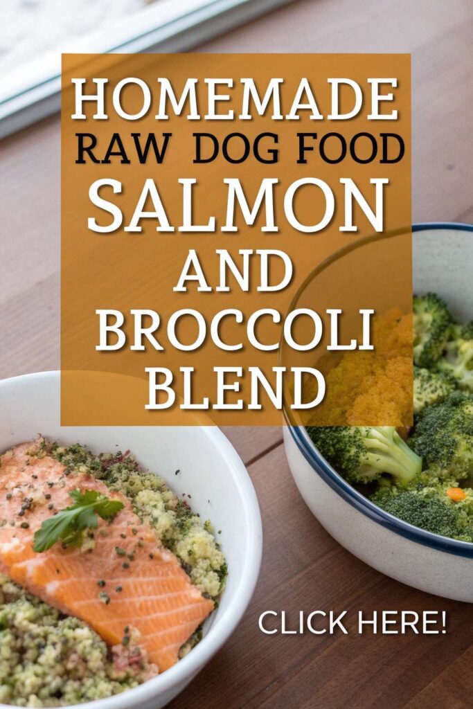 homemade raw dog food with Salmon and Broccoli Blend pin 1