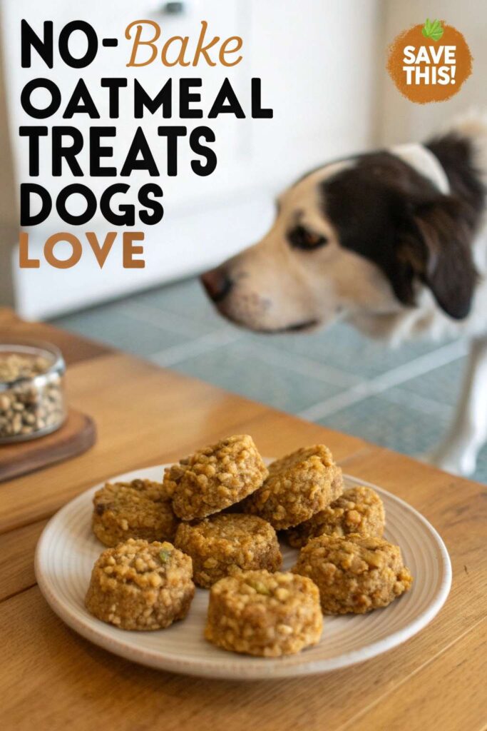 No Bake Oatmeal Treats Dogs Love pin 2