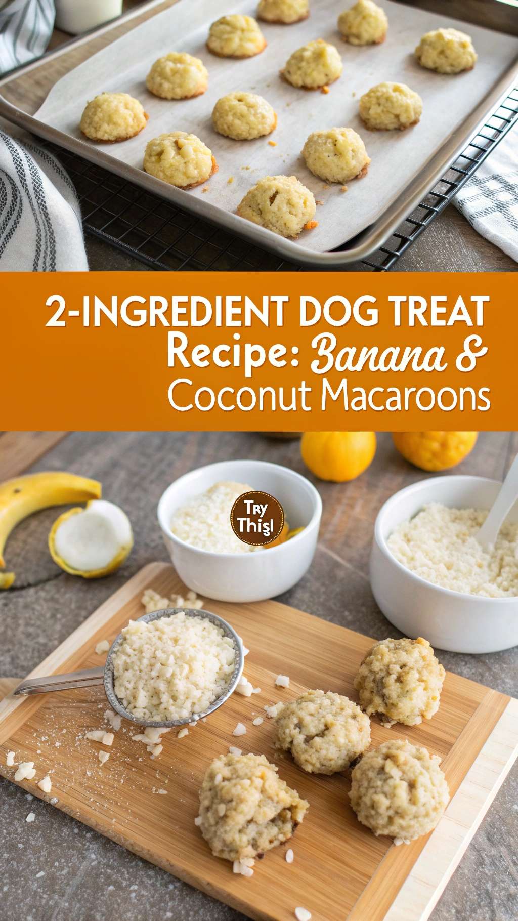 Visual Reference: 2 Ingredient Dog Treat Recipe Banana Coconut Macaroons