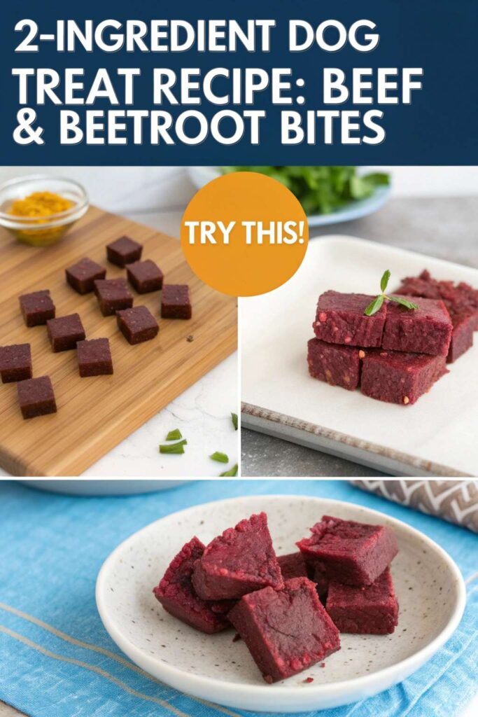 2 Ingredient Dog Treat Recipe Beef Beetroot Bites pin 1