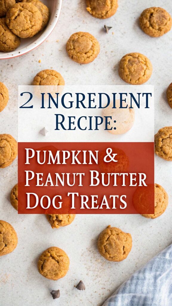 2 Ingredient Dog Treat Recipe Pumpkin Peanut Butter Swirls pin 2