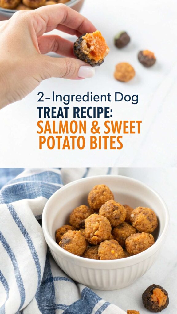 2 Ingredient Dog Treat Recipe Salmon Sweet Potato Bites pin 3