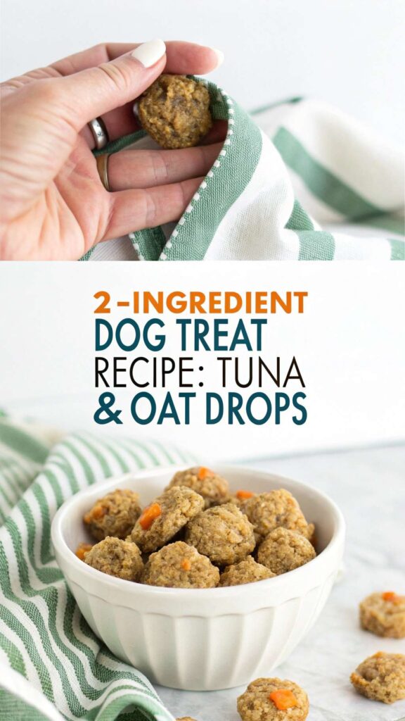 2 Ingredient Dog Treat Recipe Tuna Oat Drops pin 1