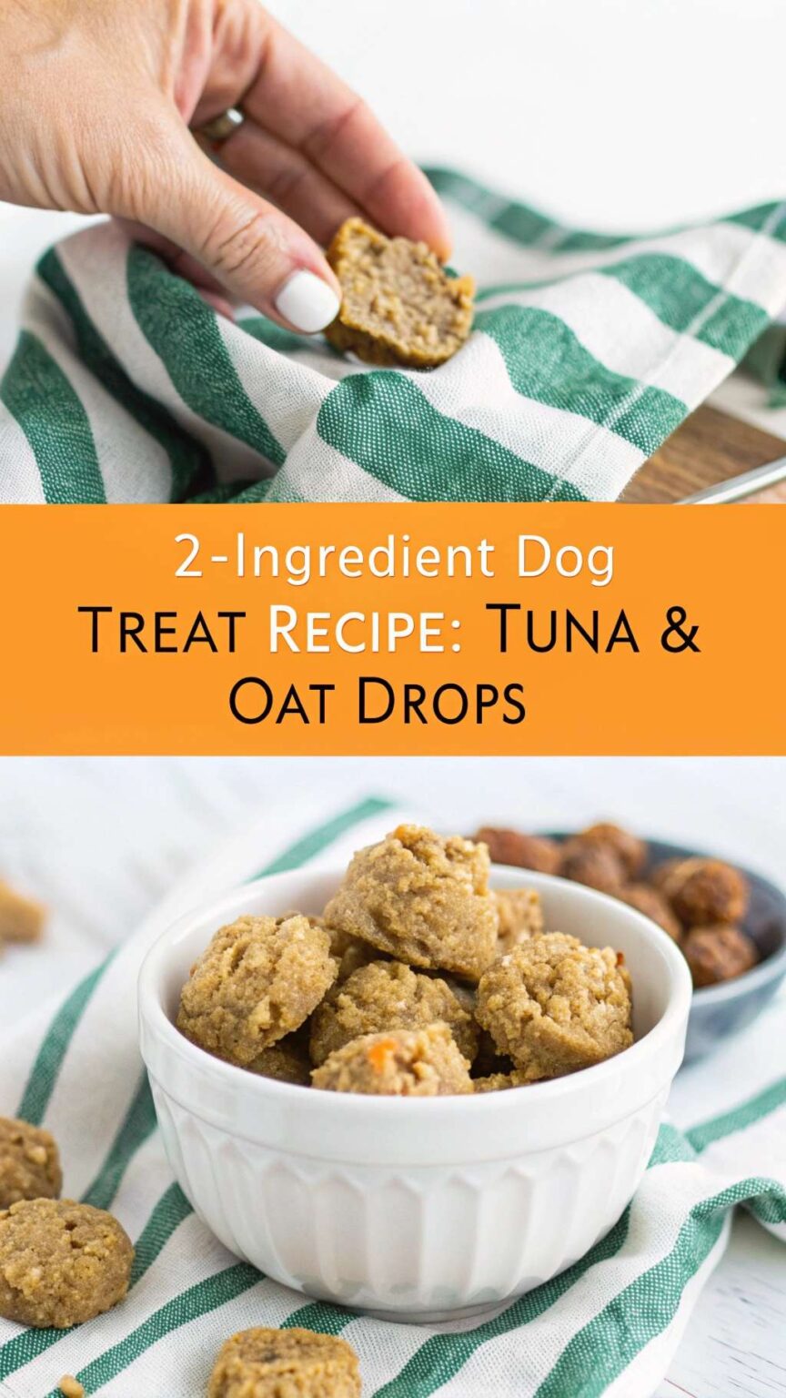 Fresh Look at 2 Ingredient Dog Treat Recipe Tuna Oat Drops