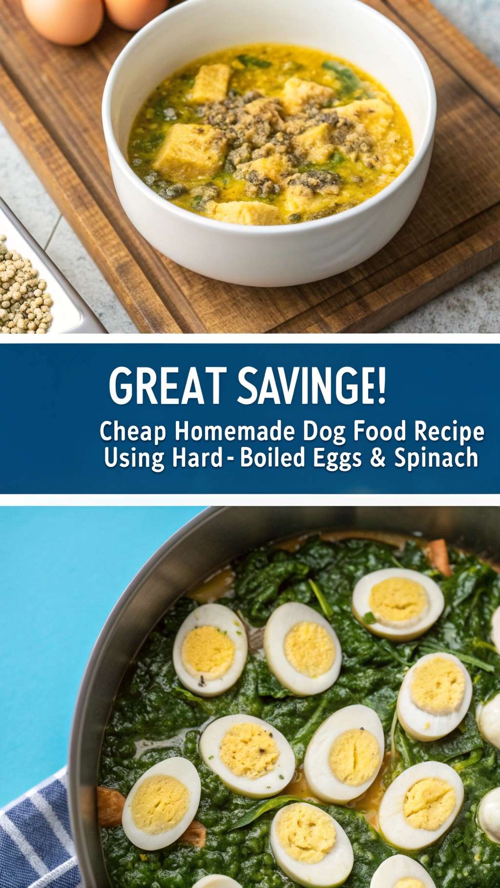 Curated visual reference: Gallery Detail: Cheap Homemade Dog Food Recipe Using Hard Boiled Eggs Spinach