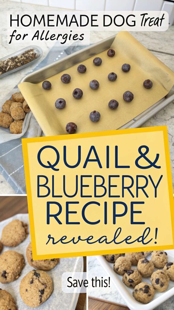 Homemade Dog Treat Recipe for Allergies Using Quail Blueberry pin 2