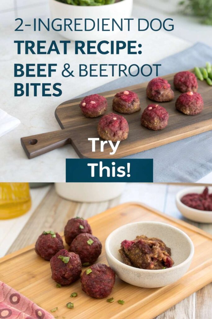 2 Ingredient Dog Treat Recipe Beef Beetroot Bites pin 2