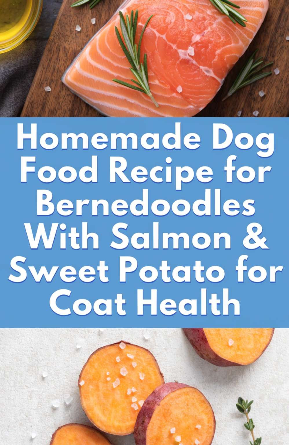 Homemade Dog Food Recipe for Bernedoodles With Salmon & Sweet Potato ...