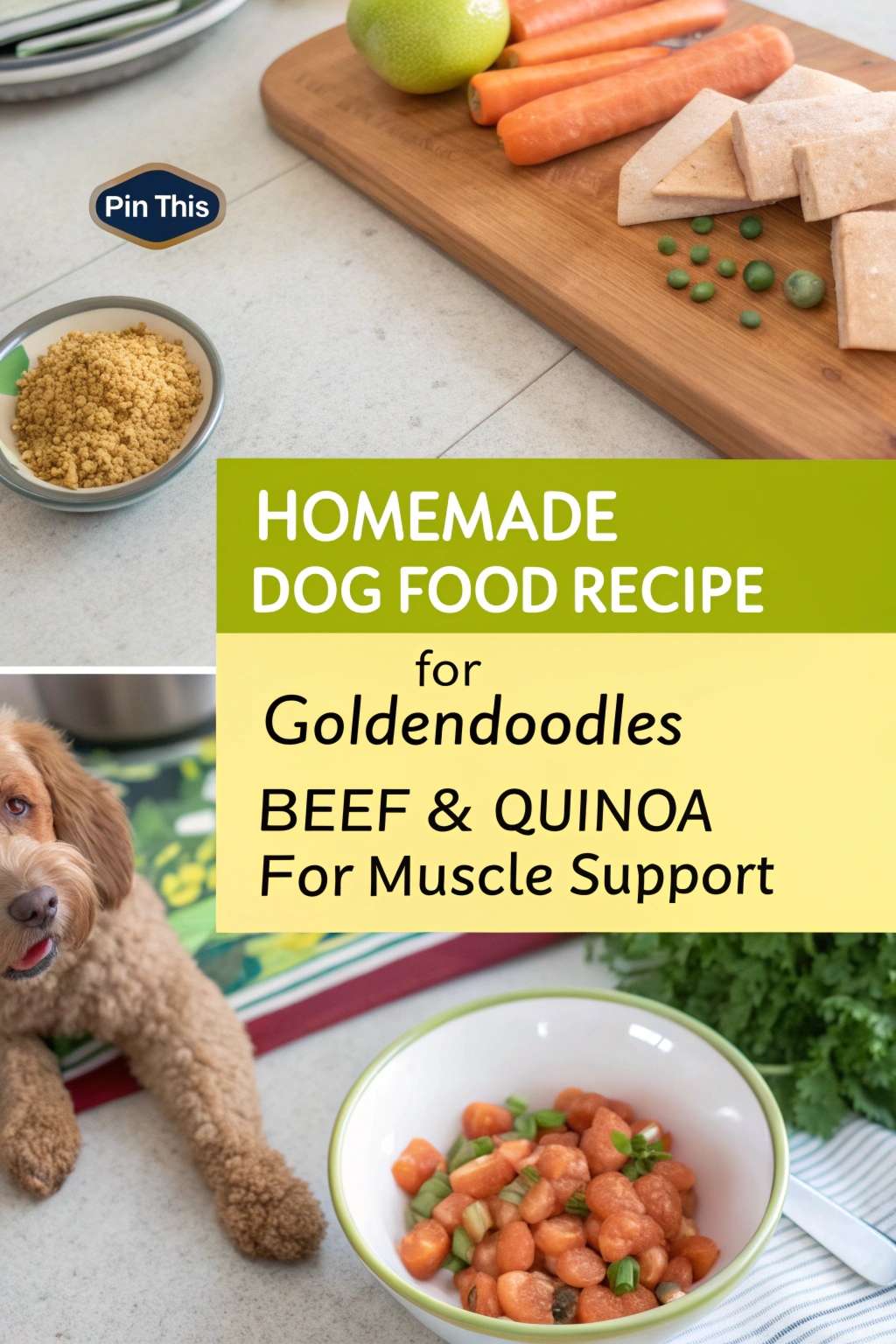 Homemade Dog Food Recipe for Goldendoodles Beef & Quinoa for Muscle ...