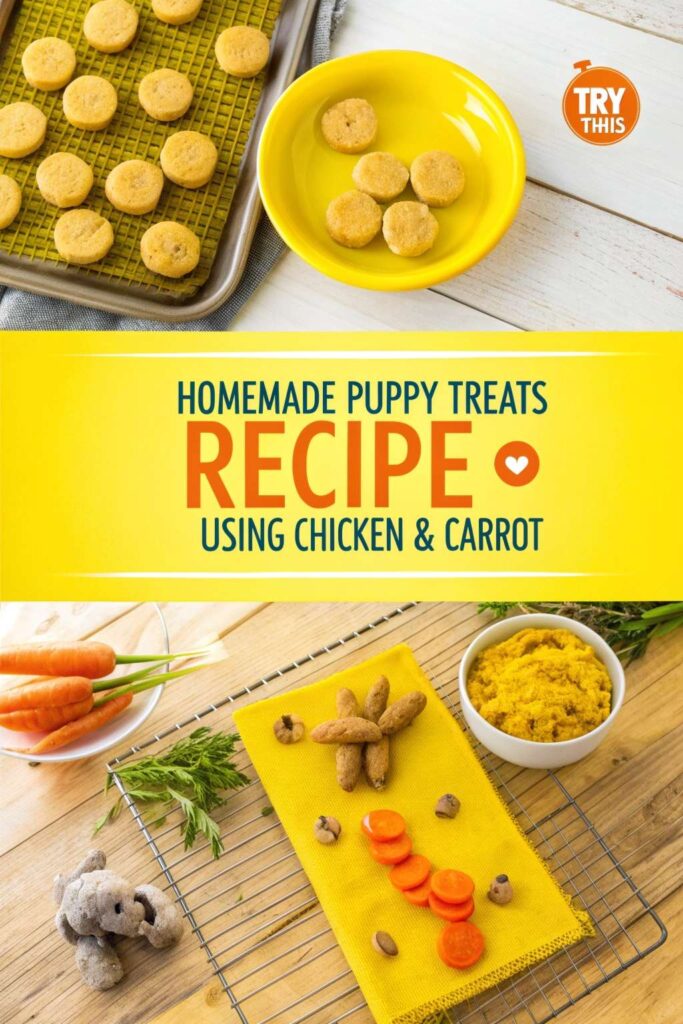 Homemade Puppy Treats Recipe Using Chicken Carrot pin 1