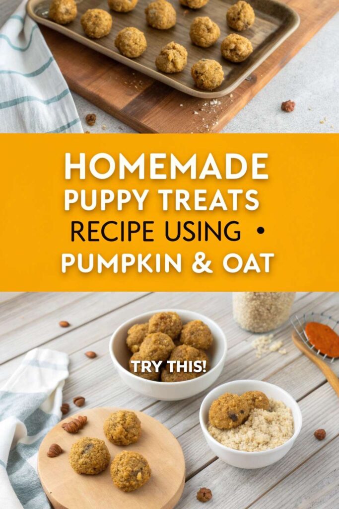 Homemade Puppy Treats Recipe Using Pumpkin Oat pin 2