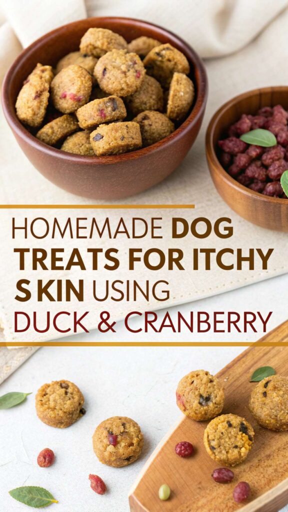 homemade Dog Treats for Itchy Skin using Duck Cranberry pin 1