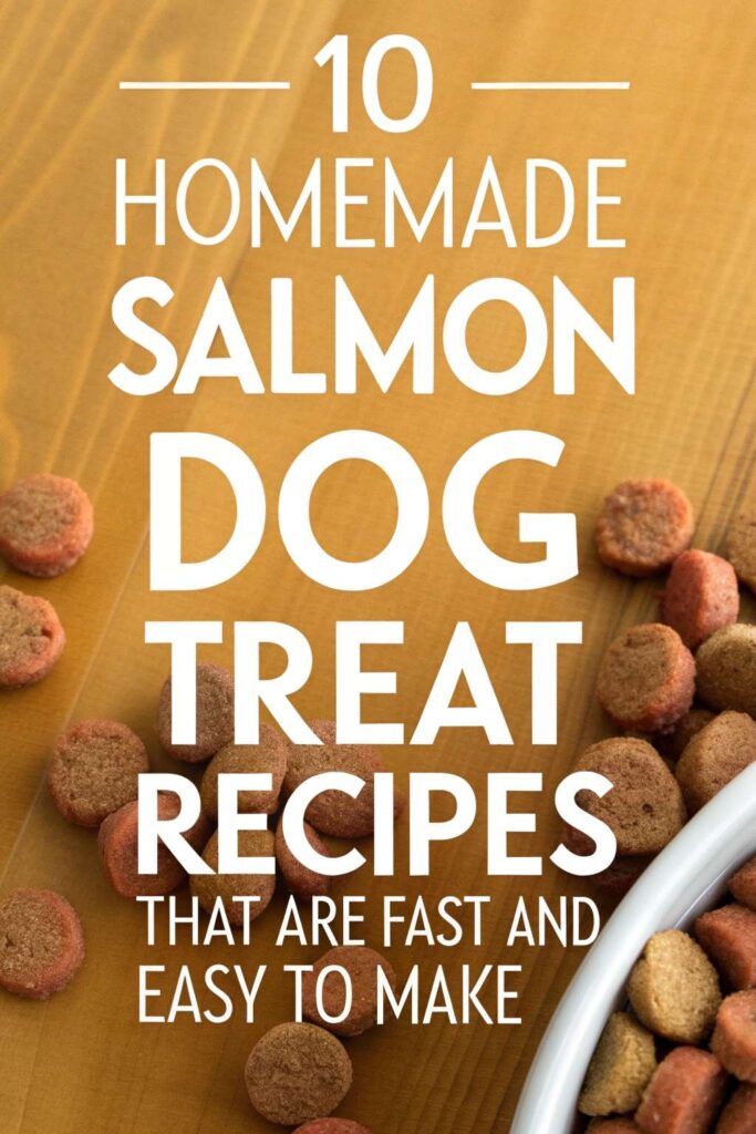 10 Homemade Salmon Dog Treat Recipes That Are Fast and Easy To Make pin 2