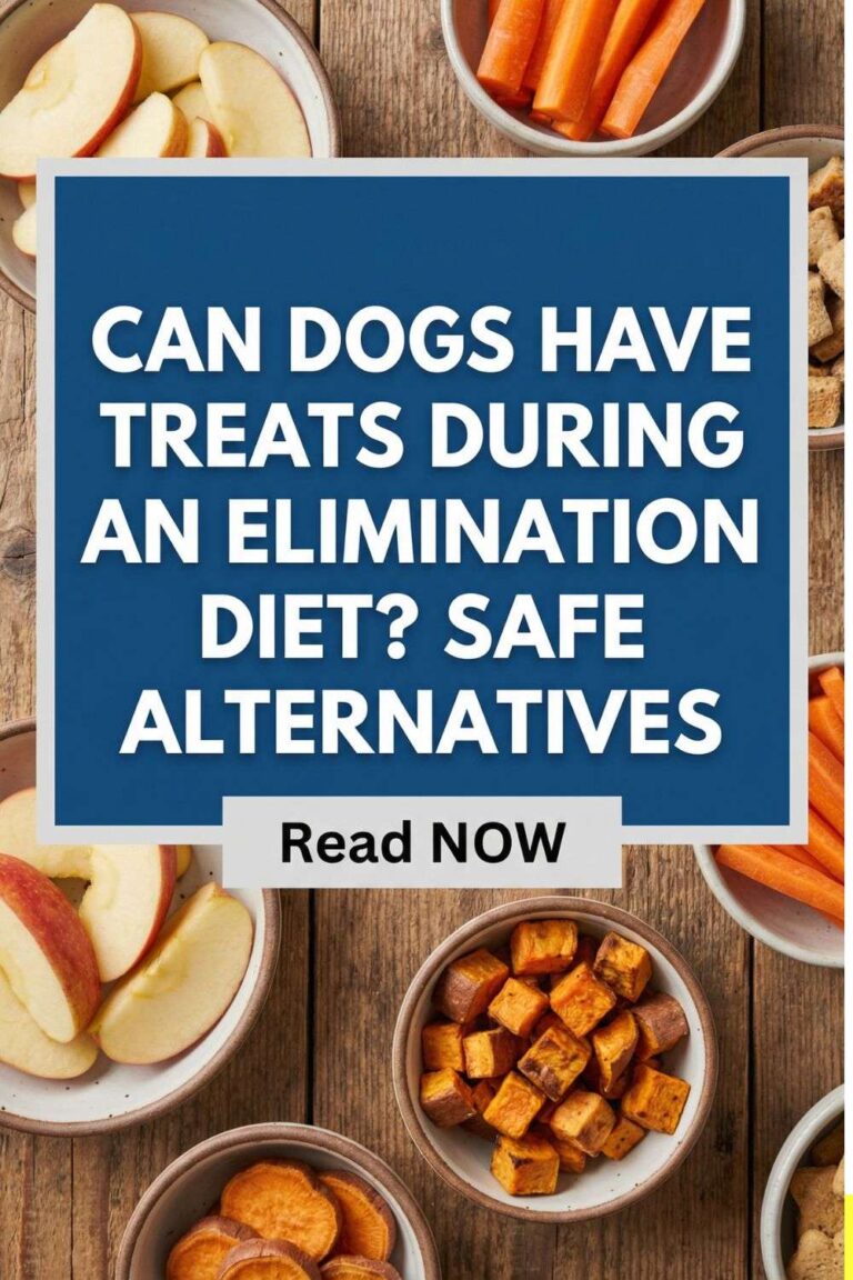 Photo inspiration: Gallery Detail: Can Dogs Have Treats During An Elimination Diet Safe Alternatives