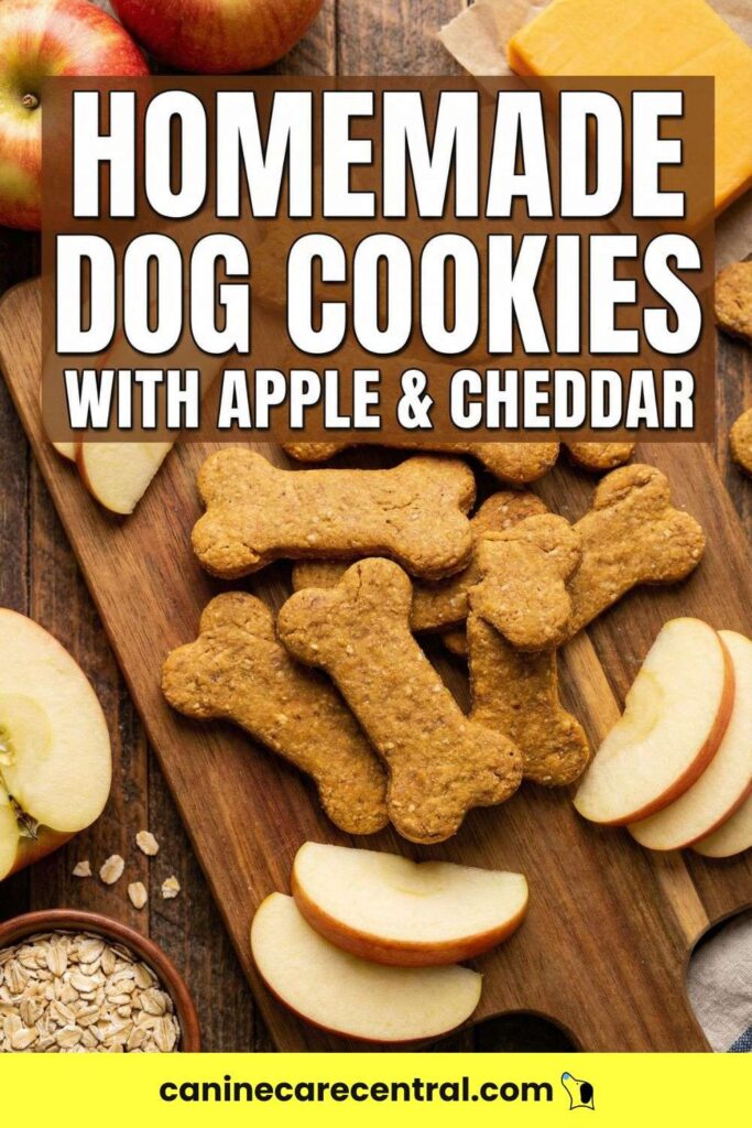 Homemade Dog Cookies With Apple Cheddar pin 2