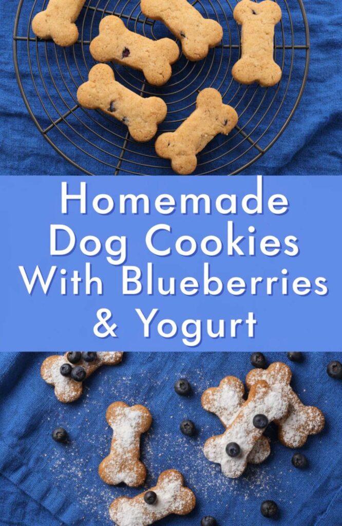 Homemade Dog Cookies With Blueberries Yogurt pin 1