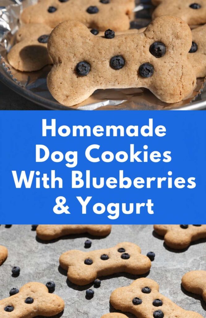 Homemade Dog Cookies With Blueberries Yogurt pin 2