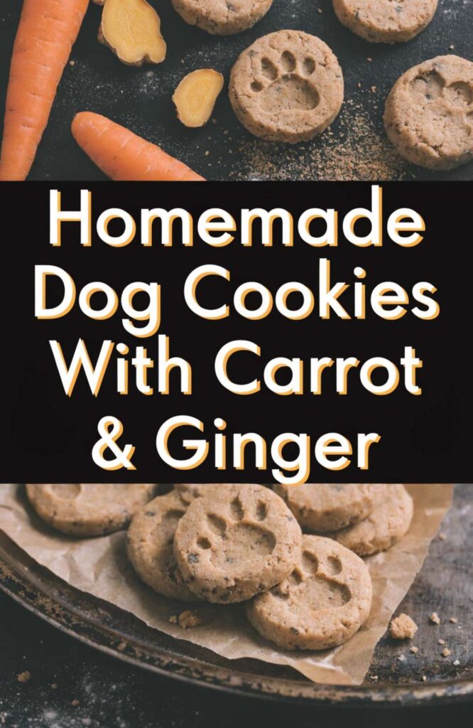 Homemade Dog Cookies With Carrot Ginger pin 1