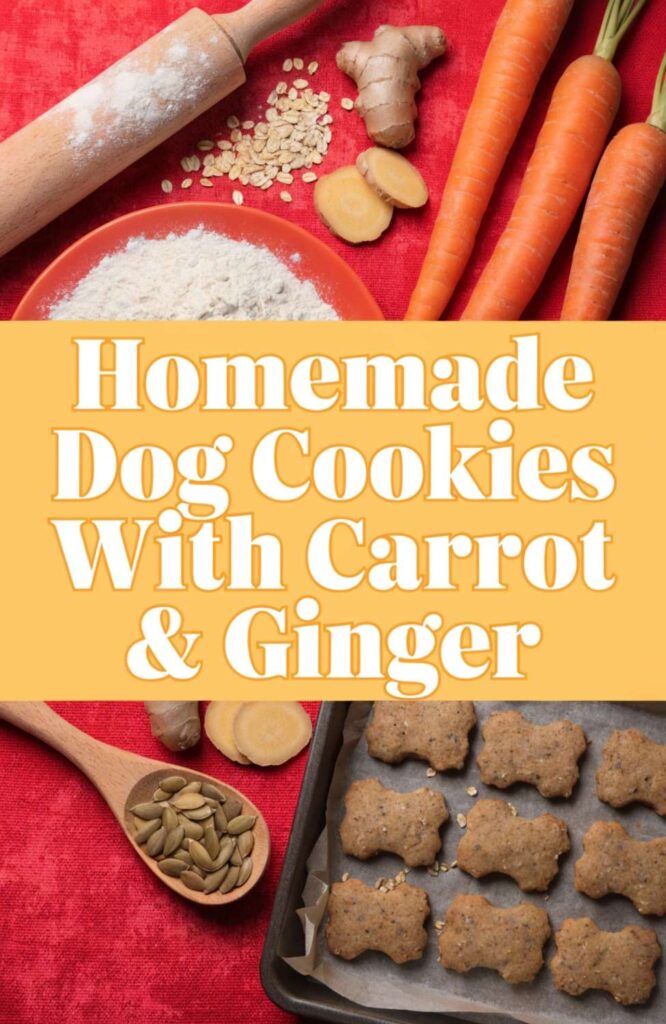 Homemade Dog Cookies With Carrot Ginger pin 2