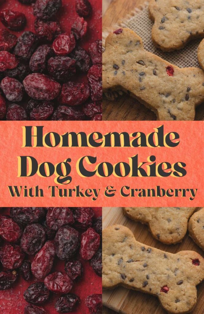 Homemade Dog Cookies With Turkey Cranberry pin 1