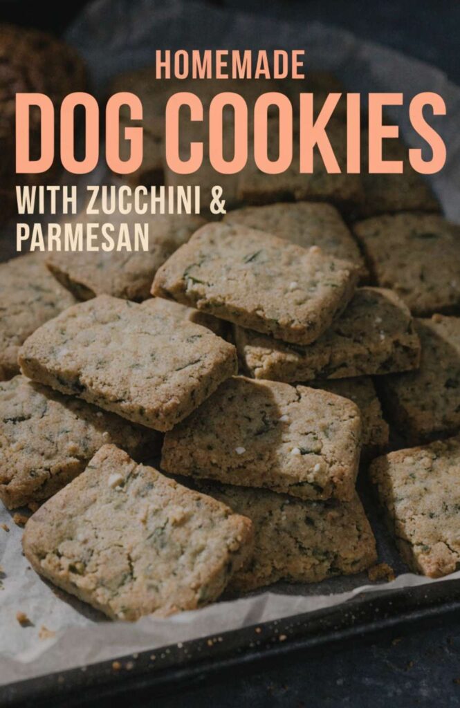 Homemade Dog Cookies With Zucchini Parmesan pin 2
