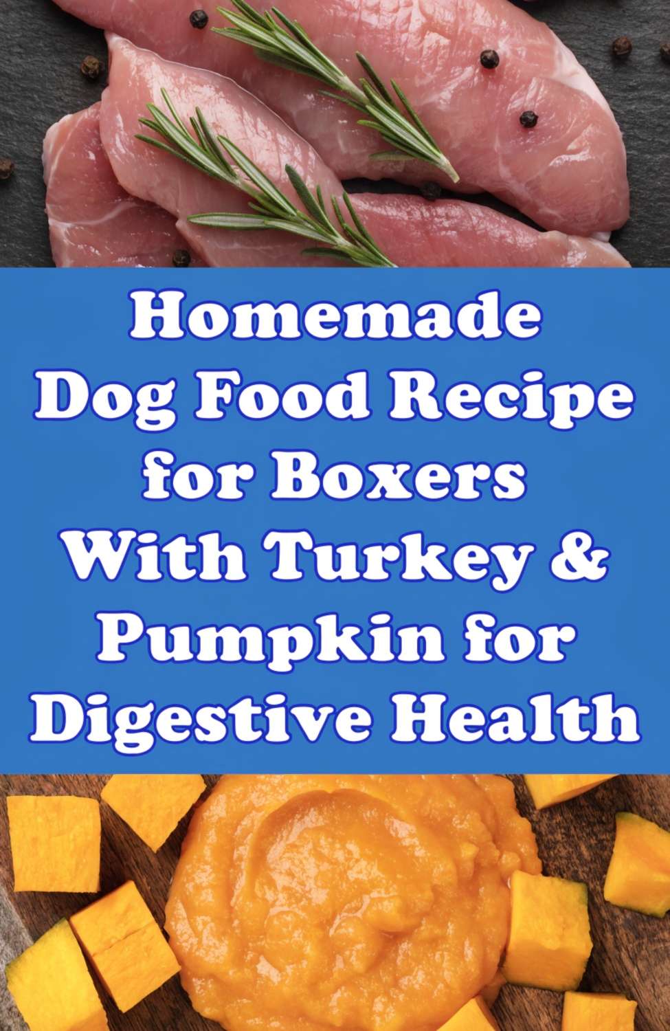 Homemade Dog Food Recipe for Boxers Turkey & Pumpkin for Digestive ... - Lamb And Pumpkin Dog Food For Dogs With Digestive Issues