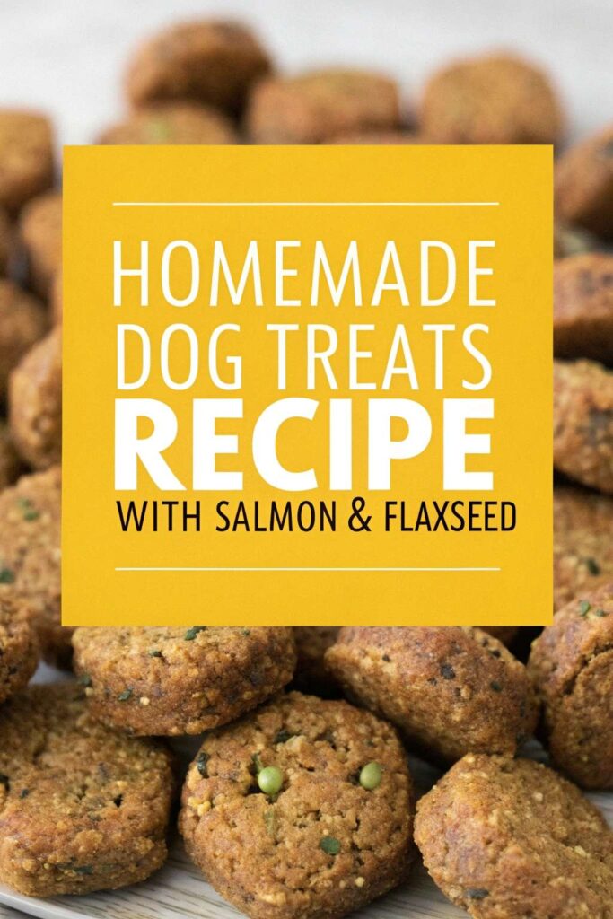 Homemade Dog Treats Recipe With Salmon Flaxseed pin 1