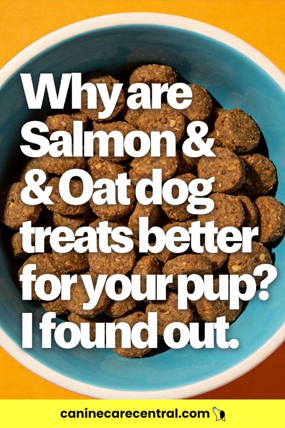 Homemade Dog Treats Recipe With Salmon Oats pin 1